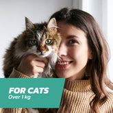 Cat Flea Treatment