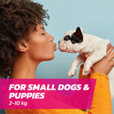 Small Dog Flea Treatment