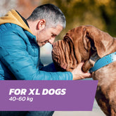 Very Large Dog Flea Treatment