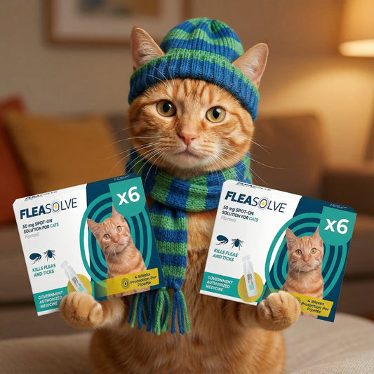 Flea Treatment for Cats
