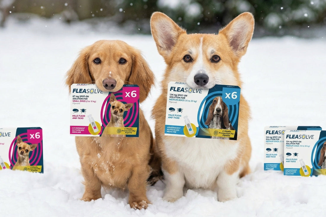 dog flea treatment