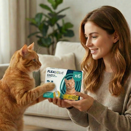 flea treatments for cats