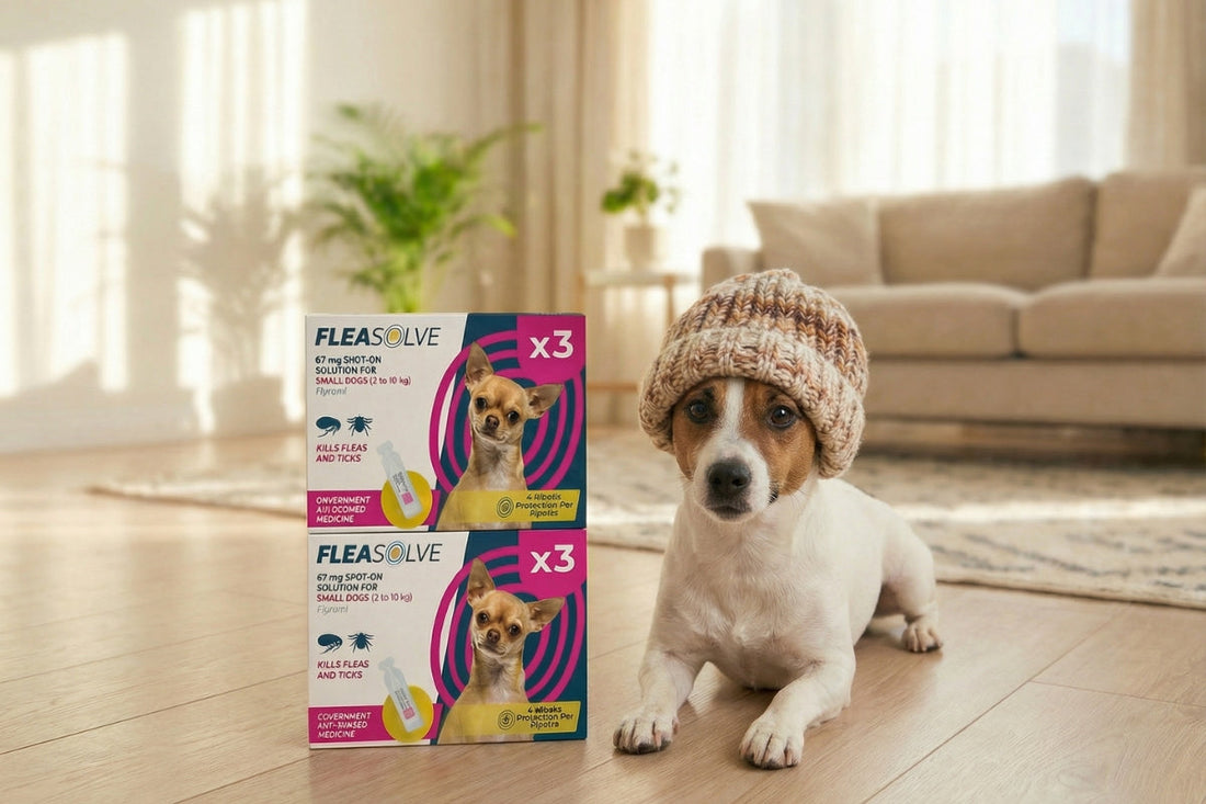 How Does Fleasolve Flea Treatment Work on Dogs?