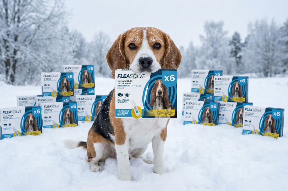 dog flea treatment