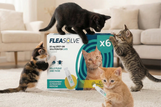 cat flea treatment