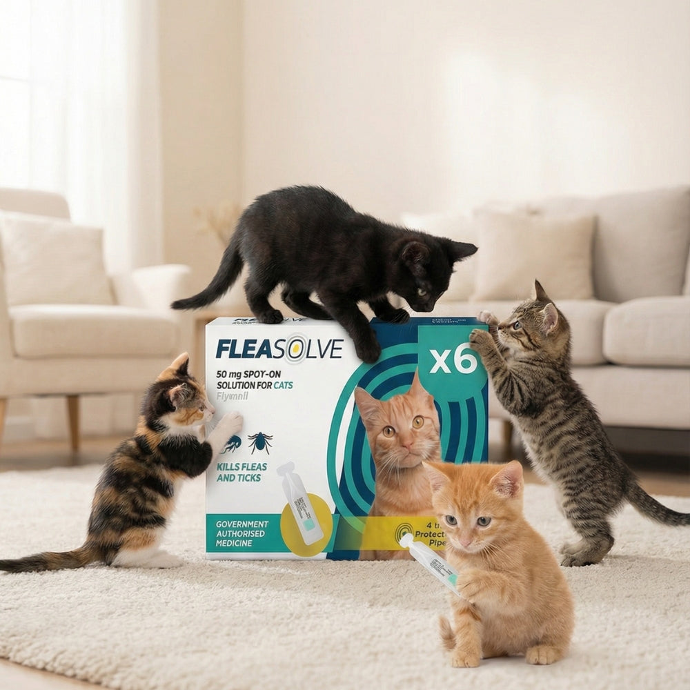 cat flea treatment