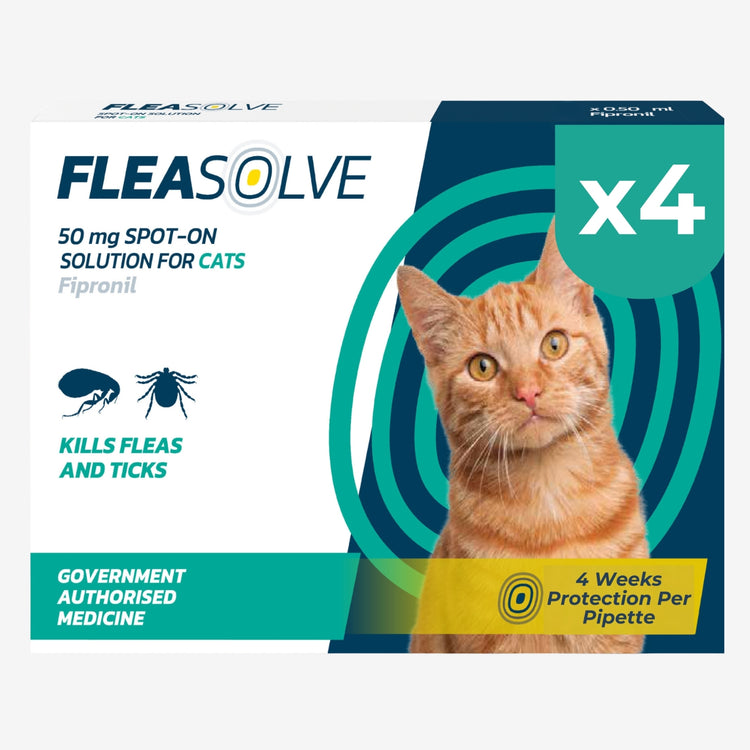 Cat Flea Treatment