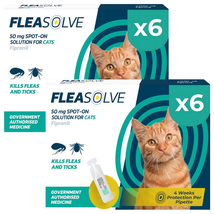 Cat Flea Treatment