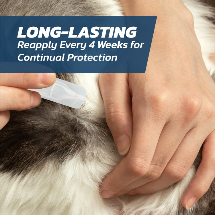 Large Dog Flea Treatment