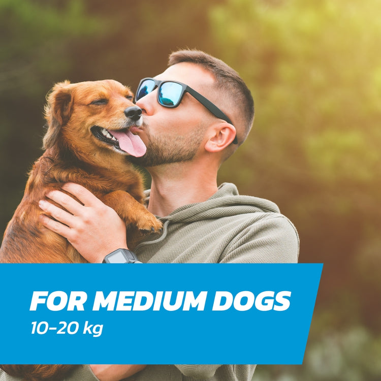 Medium Dog Flea Treatment