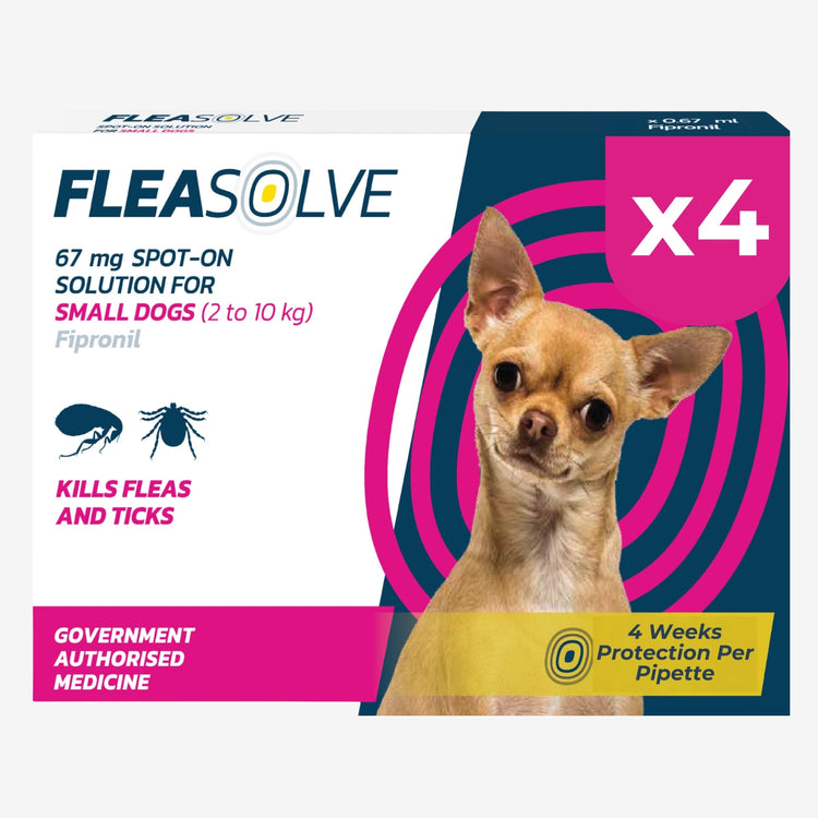 Small Dog Flea Treatment