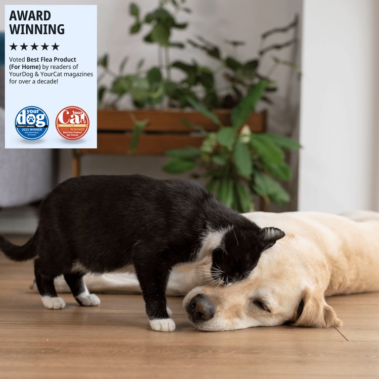 Indorex Home Flea Spray